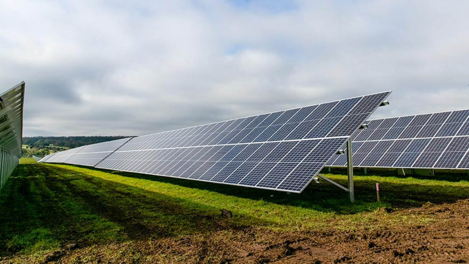 IFM and Trafigura Investors Create Nala Renewables