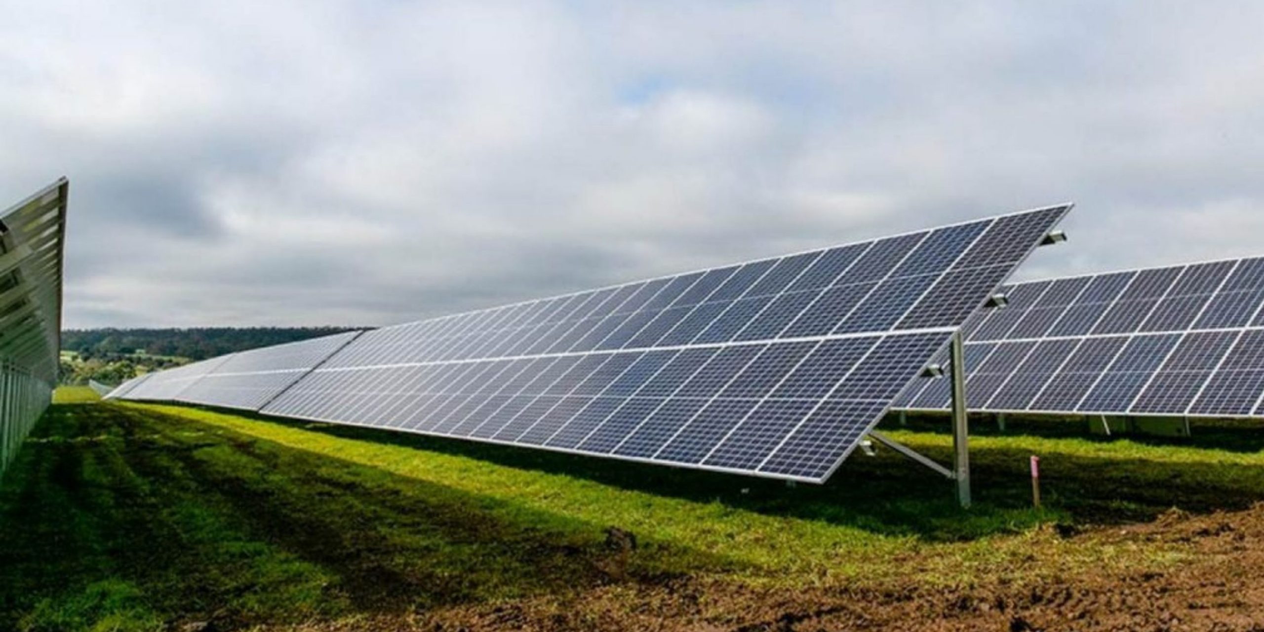 IFM and Trafigura Investors Create Nala Renewables