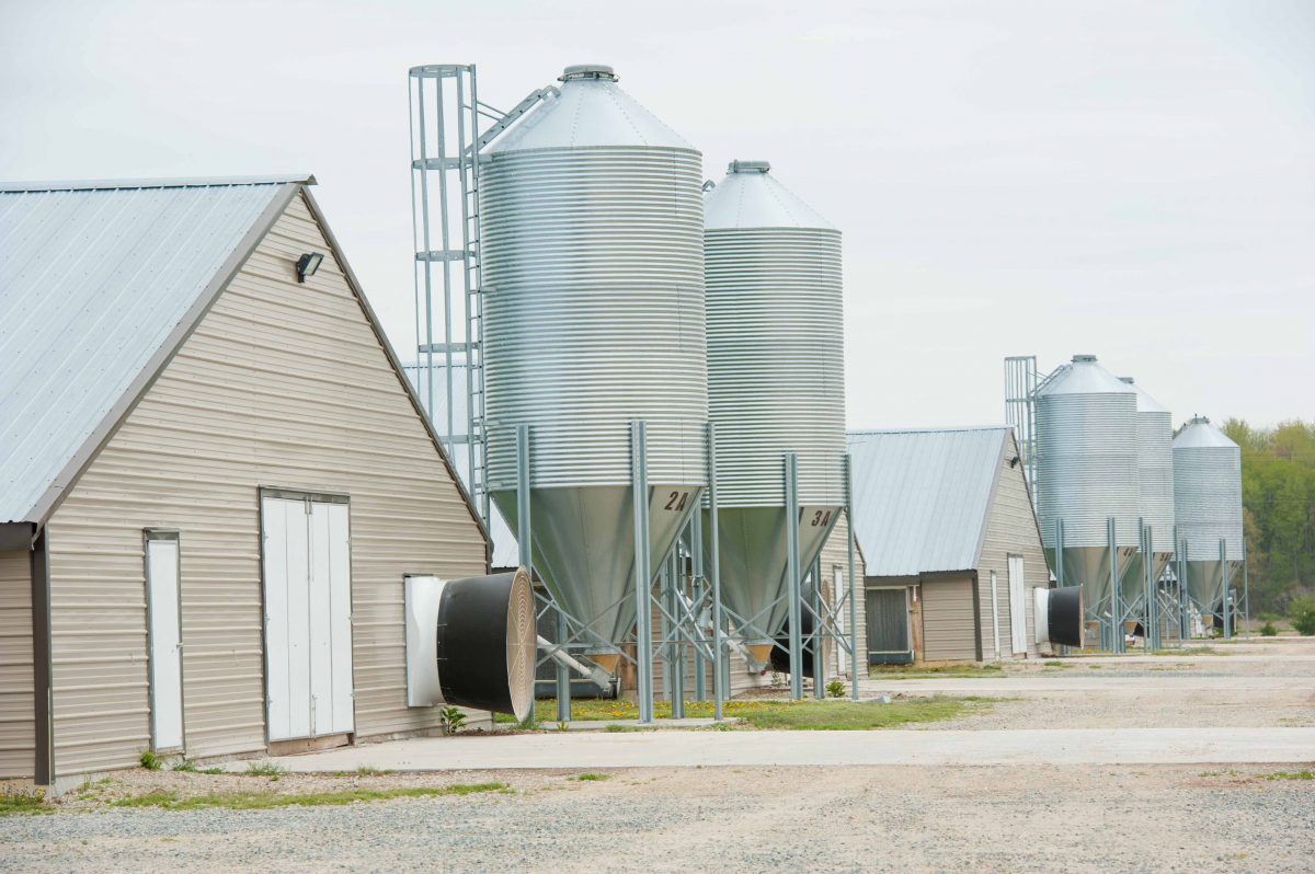 CleanBay Renewables Create An Anaerobic Digestion Facility